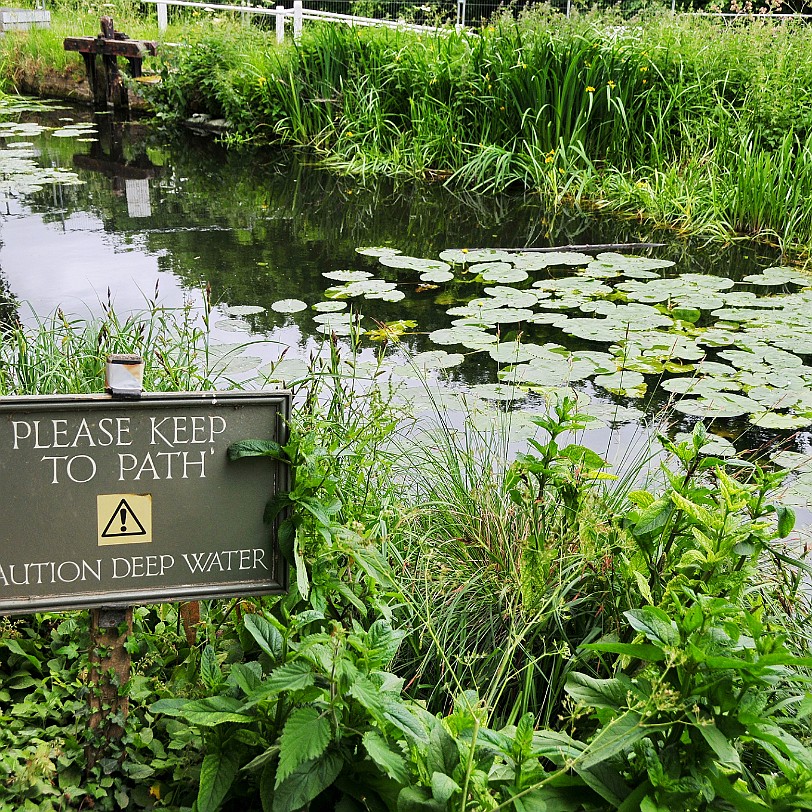 DSC_8084 The Abbey was formerly an Augustinian priory and the garden was originally laid out in the 1860s by the Rev. John Hailstone, with some fine trees, including the...