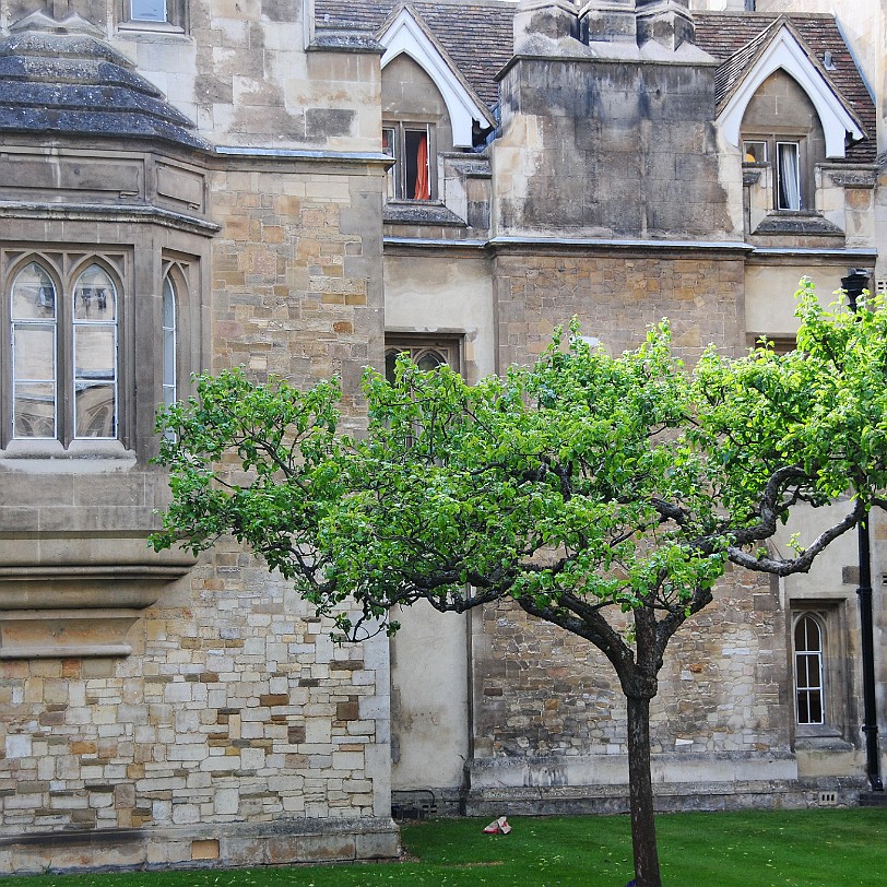 DSC_8211 Cambridge, Cambridgeshire