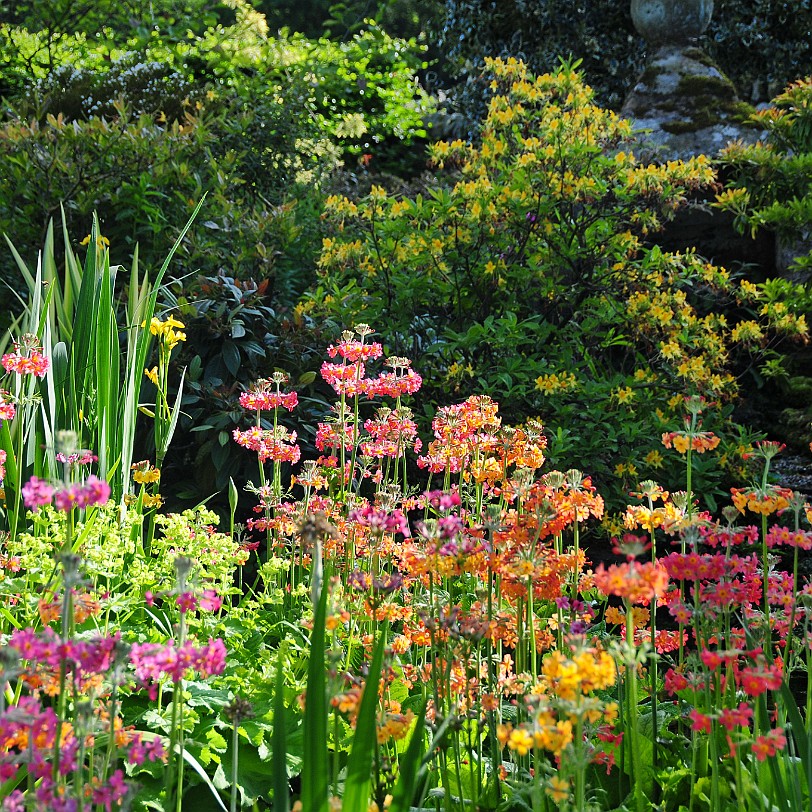 DSC_8574 Low Hill, Dacre, Bed and Breakfast
