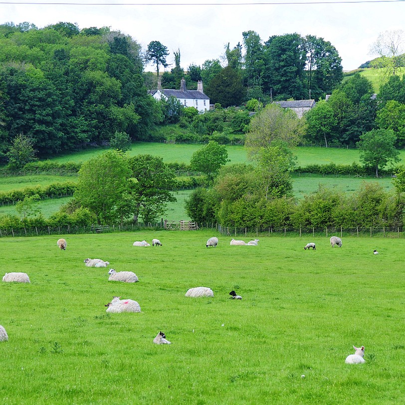 DSC_8625 Kendal, Sizergh Castle, Cumbria