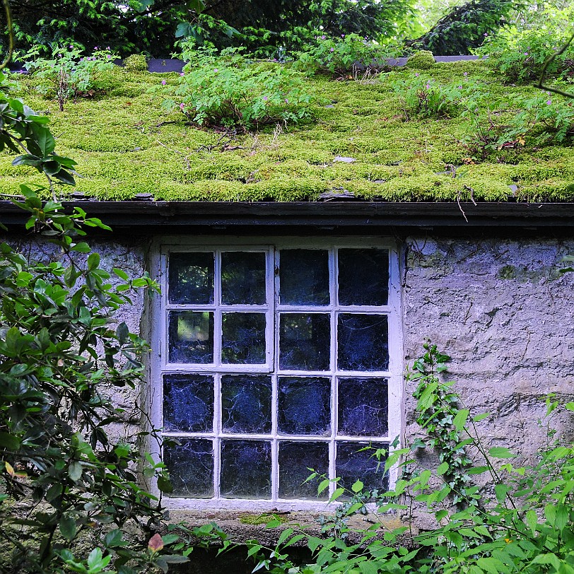 DSC_8640 Kendal, Sizergh Castle, Cumbria