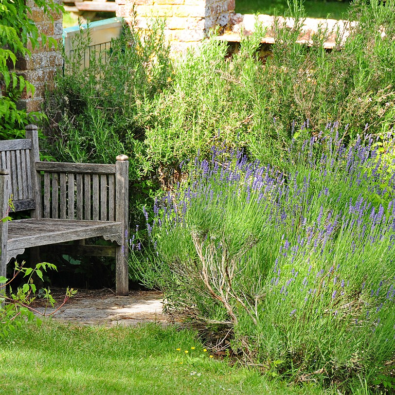DSC_0037 Burwash, Batemans, East Sussex