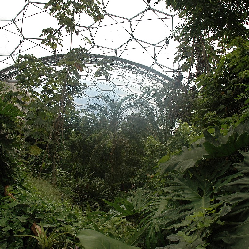 [D-0846] Bodelva, Cornwall, Großbritannien, Eden Project