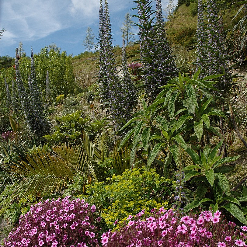 [D-0862] Bodelva, Cornwall, Großbritannien, Eden Project