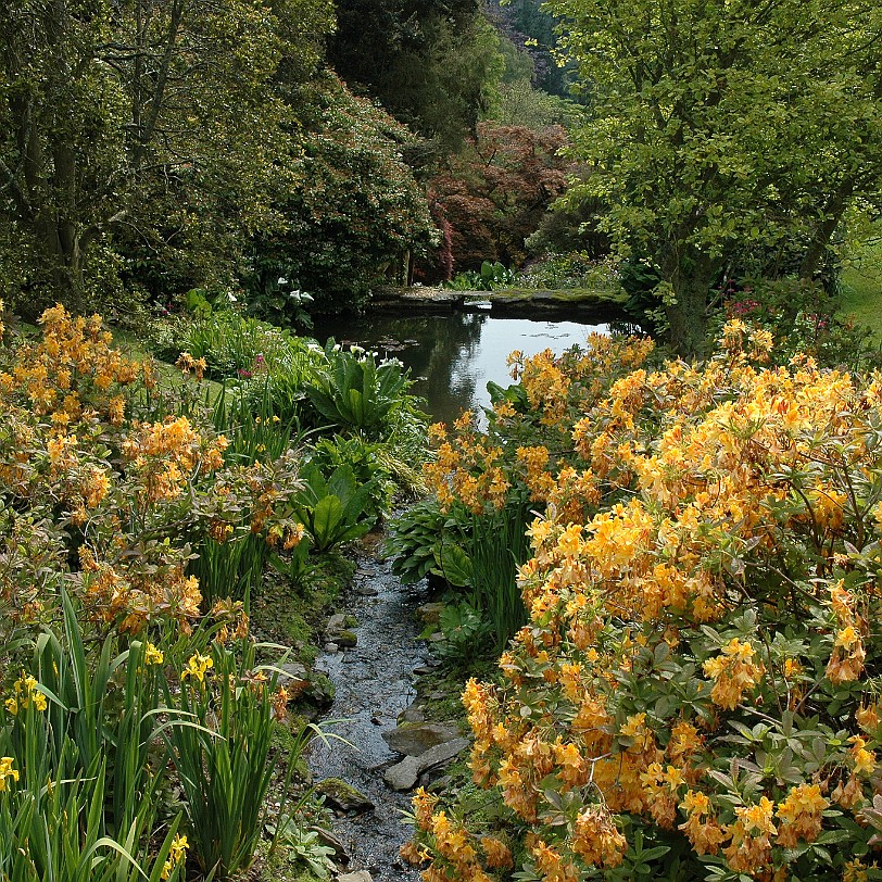 [D-0594] Kingswear, Coleton Fishacre, Devon, Großbritannien