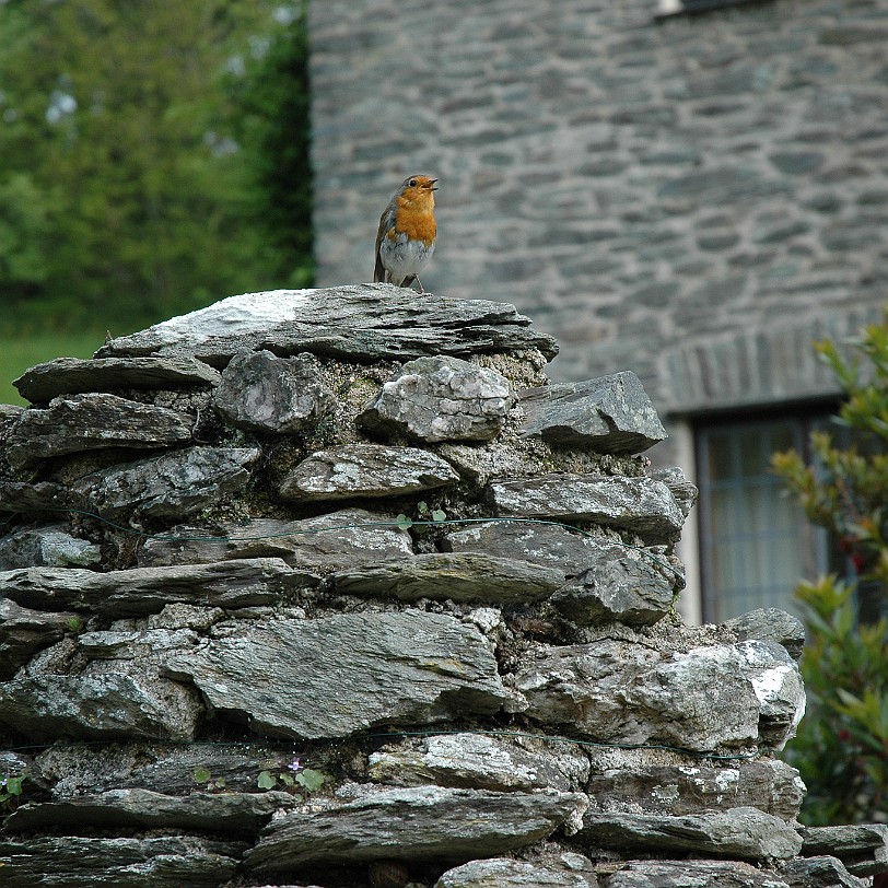 [D-0599] Kingswear, Coleton Fishacre, Devon, Großbritannien