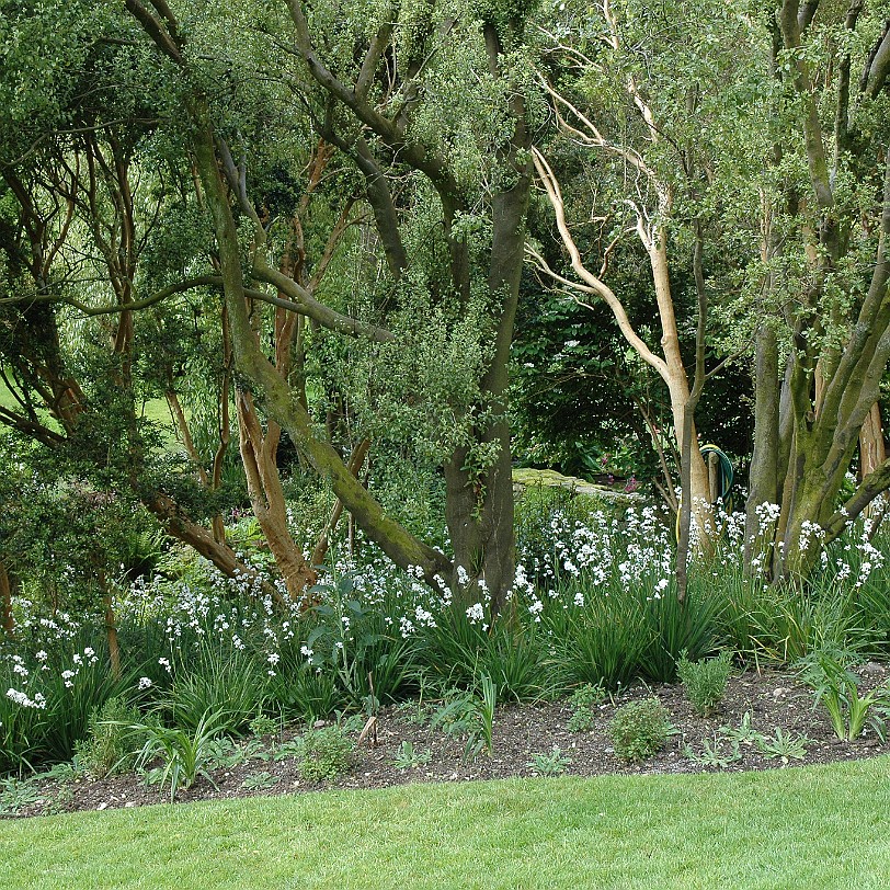 [D-0603] Kingswear, Coleton Fishacre, Devon, Großbritannien