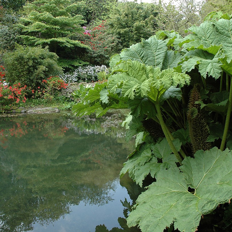 [D-0605] Kingswear, Coleton Fishacre, Devon, Großbritannien