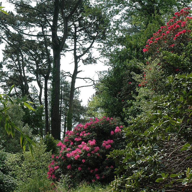 [D-0608] Kingswear, Coleton Fishacre, Devon, Großbritannien