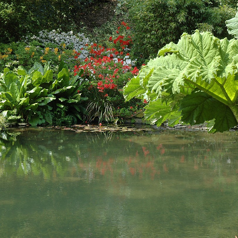 [D-0614] Kingswear, Coleton Fishacre, Devon, Großbritannien