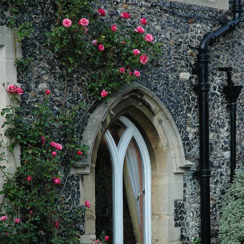 [D-1205] Canterbury, Canterbury Cathedral, Kent, Großbritannien
