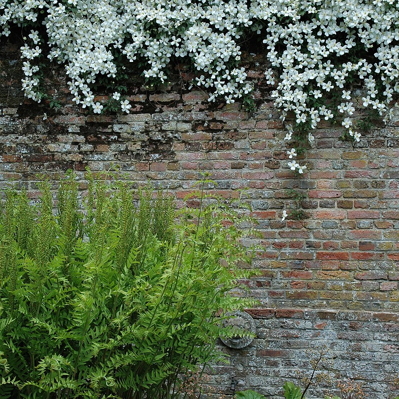 [D-0028] Sissinghurst occupies an ancient site. There has been a settlement here since the late 12th century, the name deriving from a Saxon clearing in the woods....