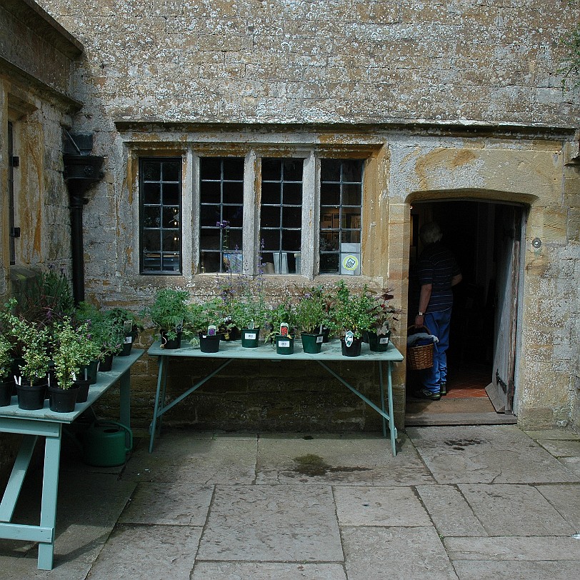 [D-0494] Tintinhull House Garden, Somerset, Großbritannien