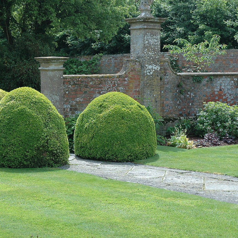 [D-0512] Tintinhull House Garden, Somerset, Großbritannien