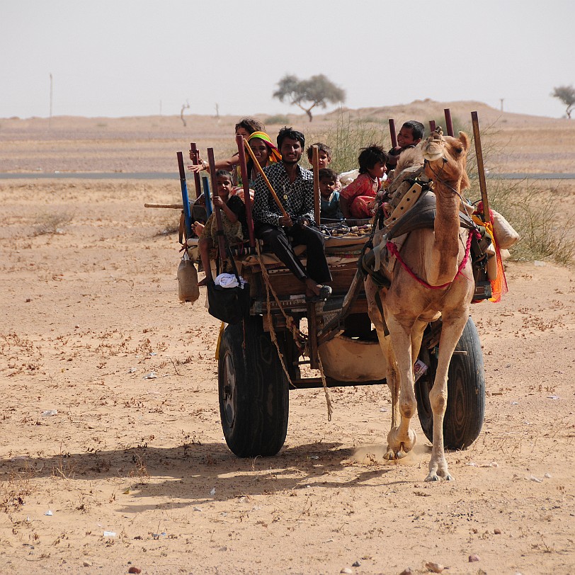 DSC_2069 Von Bikaner nach Jaisalmer. Eine Pilgergruppe in der Wüste Thar.