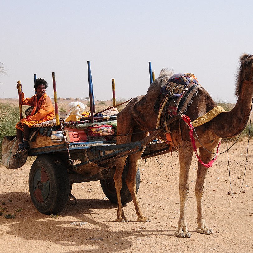 DSC_2091 Von Bikaner nach Jaisalmer. Eine Pilgergruppe in der Wüste Thar.