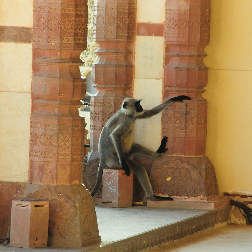 DSC_3276 Amber Fort