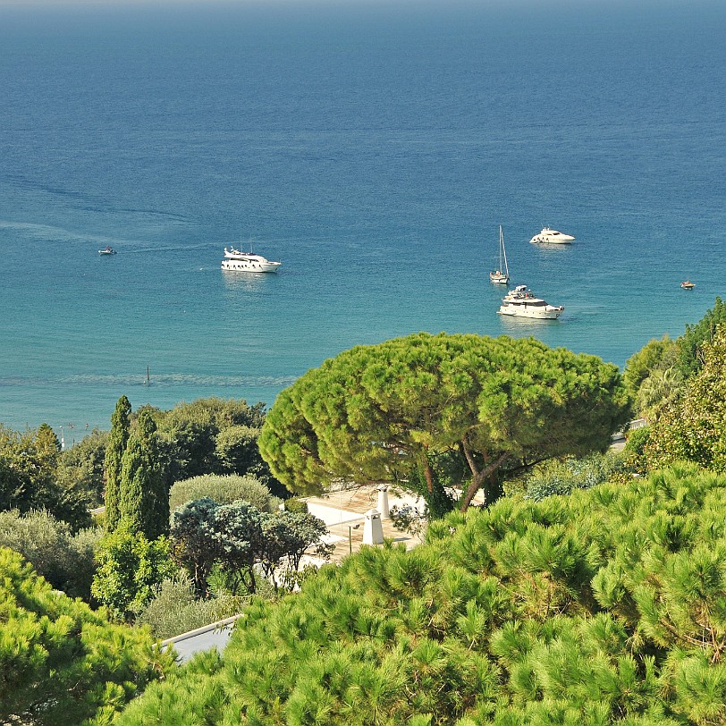 2014-10 Ischia [188] Ischia, Giardini La Mortella