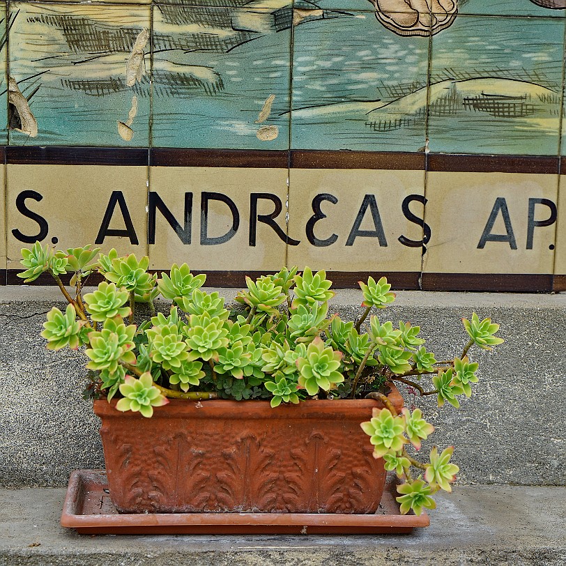 DSC05701