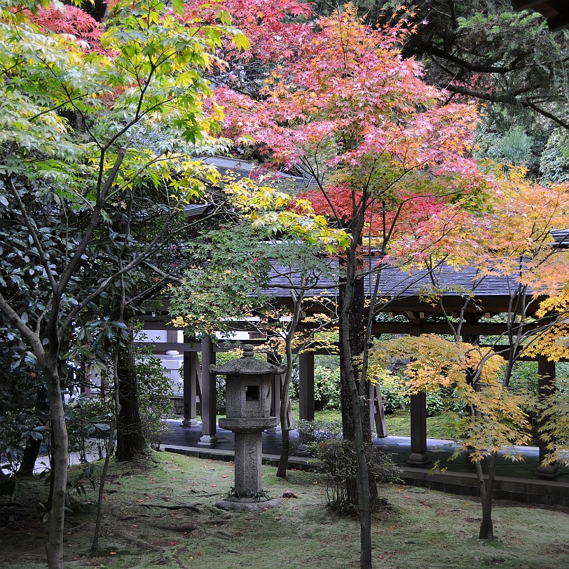 DSC_4113 Der Zen-Garten des Ryoanji-Tempels in Kyoto Wer mehr wissen möchte, hier die Website des Tempels: http://www.ryoanji.jp/ in japanischer und englischer Sprache.