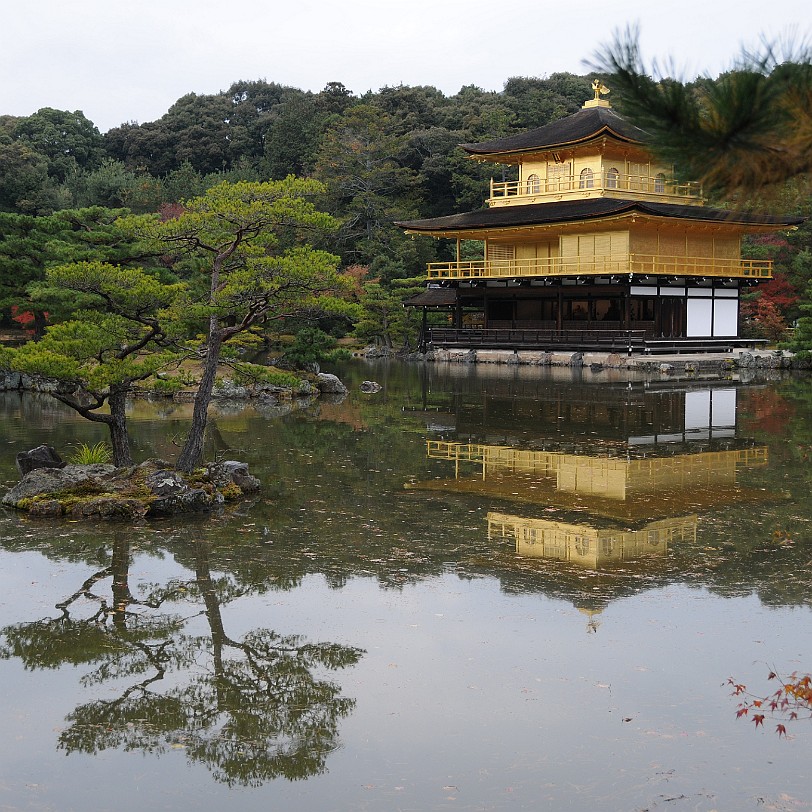 DSC_4200 Kinkaku-ji (jap. ???, dt. Goldener-Pavillon-Tempel) ist ein buddhistischer Tempel im Nordwesten der japanischen Stadt Kyoto in deren Stadtbezirk Kita-ku. Sein...