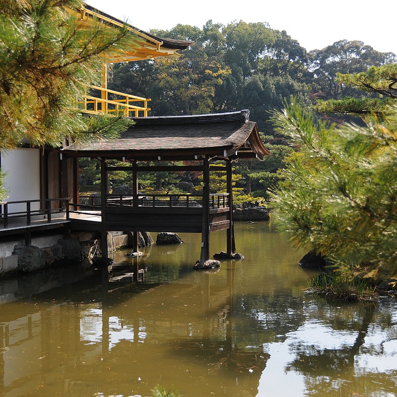 DSC_4231 Kinkaku-ji, Goldener-Pavillon-Tempel, ist ein buddhistischer Tempel im Nordwesten der japanischen Stadt Kyoto in deren Stadtbezirk Kita-ku. Sein eigentlicher...