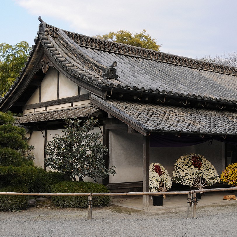 DSC_4303 Nijo-jo ist eine japanische Burganlage und ehemaliger Sitz des Shoguns in Kyoto, der ehemaligen Hauptstadt Japans. Die Burg erhielt den Namen wegen der Straße...