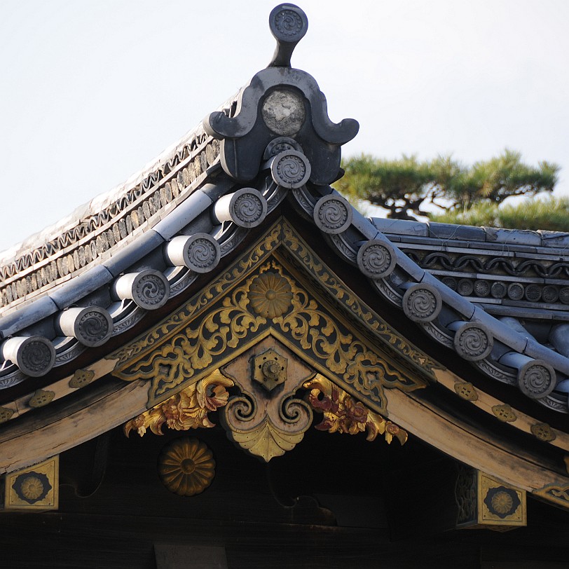 DSC_4316 Nijo-jo ist eine japanische Burganlage und ehemaliger Sitz des Shoguns in Kyoto, der ehemaligen Hauptstadt Japans. Die Burg erhielt den Namen wegen der Straße...