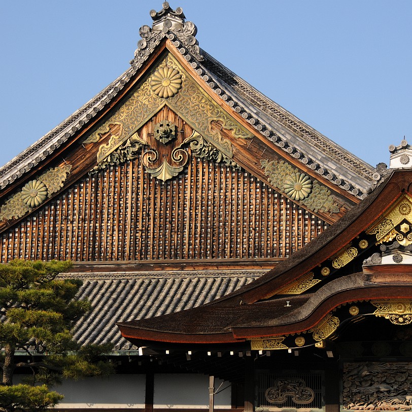 DSC_4320 Nijo-jo ist eine japanische Burganlage und ehemaliger Sitz des Shoguns in Kyoto, der ehemaligen Hauptstadt Japans. Die Burg erhielt den Namen wegen der Straße...