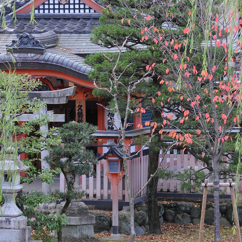 DSC_4682 Der Tempel wurde 1164 unter Taira no Kiyomori auf Anordnung des Go-Shirakawa-tenno fertiggestellt. Er fiel 1249 einem Feuer zum Opfer. Nur die Haupthalle wurde...
