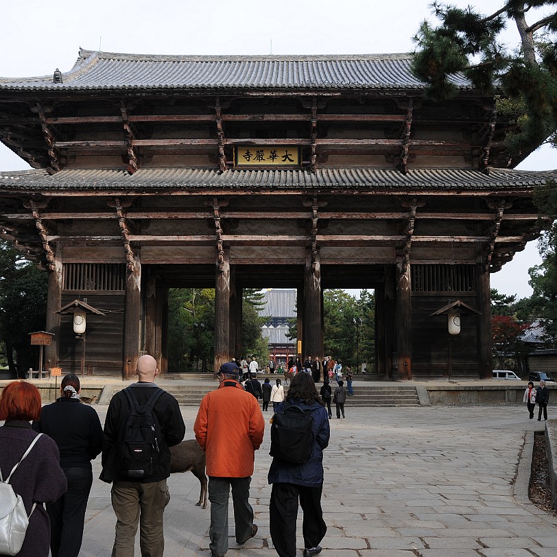 DSC_4957 Der Todai-ji, wörtlich: östlicher großer Tempel, ist ein buddhistischer Tempel in der Stadt Nara. Er beherbergt die größte buddhistische Bronzestatue und ist...
