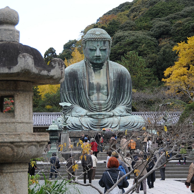 DSC_5596 Der Kotoku-in ist ein buddhistischer Tempel in der japanischen Stadt Kamakura. Er beherbergt den Großen Buddha (jap. daibutsu), eine der bedeutendsten...