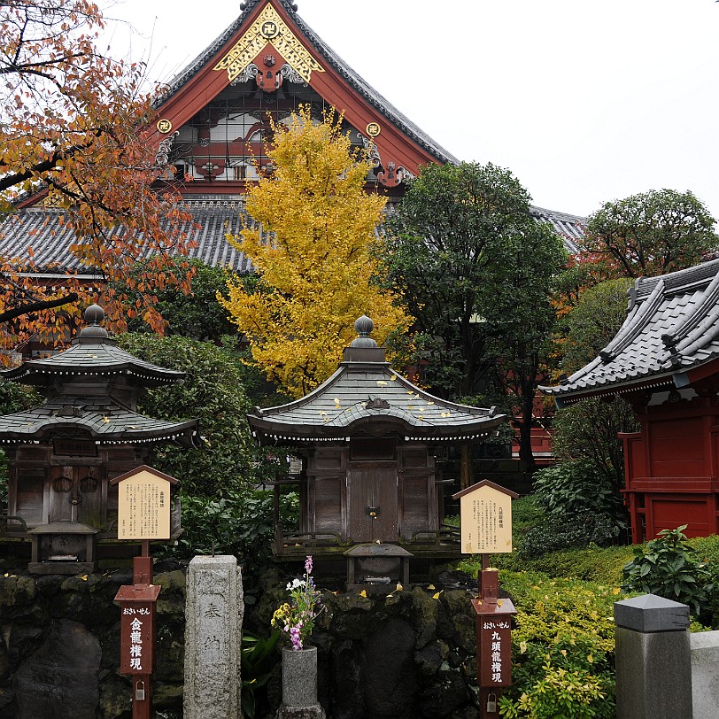 DSC_6484 Senso-ji (jap. Kinryu-zan Sensoji) ist ein buddhistischer Tempel in Asakusa, Tokio. Es ist Tokios ältester und bedeutendster Tempel.