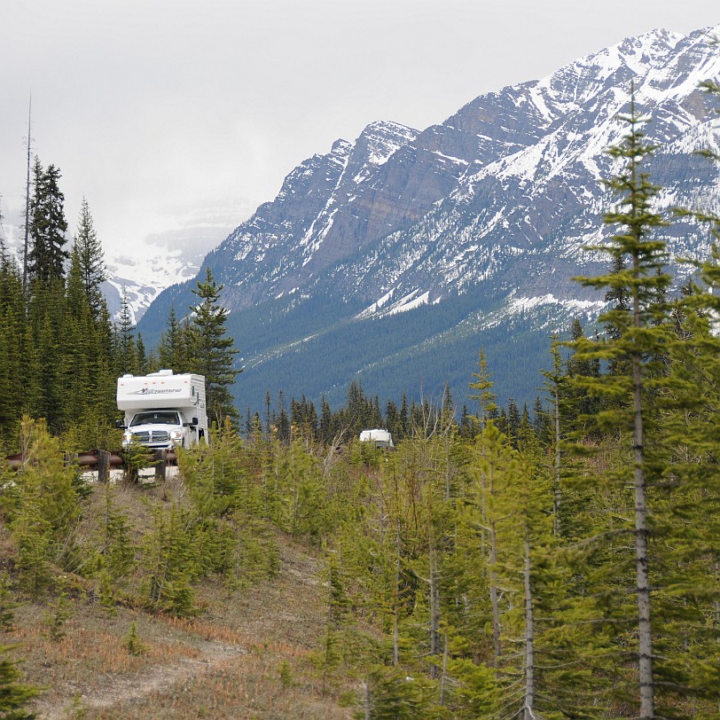 DSC_0405 Kanada; Alberta; Icefield Parkway; Nationalpark; Jasper; Banff