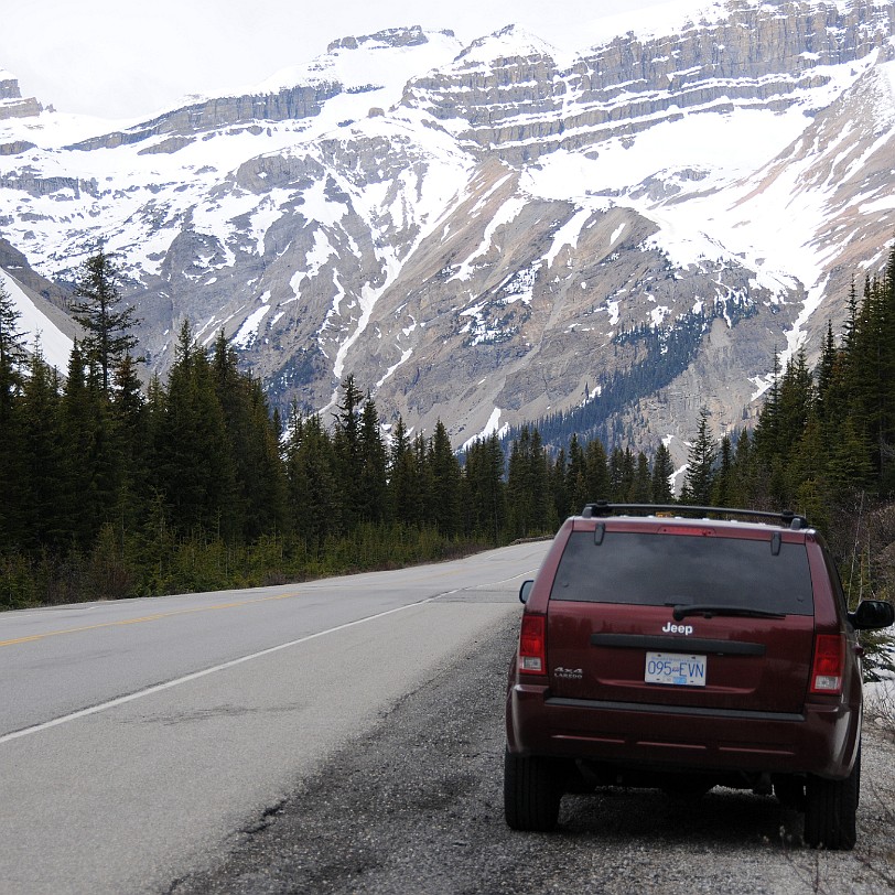 DSC_0413 Kanada; Alberta; Icefield Parkway; Nationalpark; Jasper; Banff