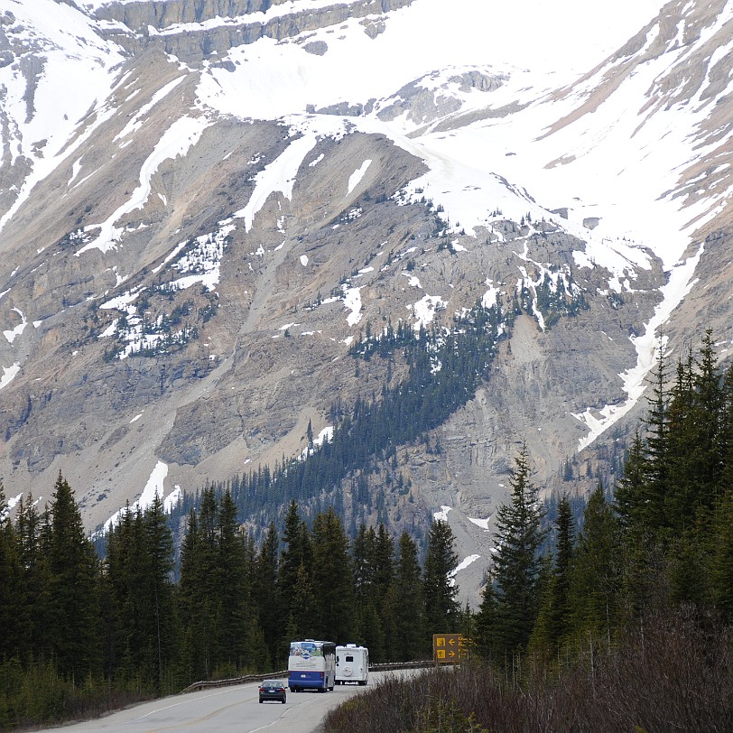 DSC_0417 Kanada; Alberta; Icefield Parkway; Nationalpark; Jasper; Banff