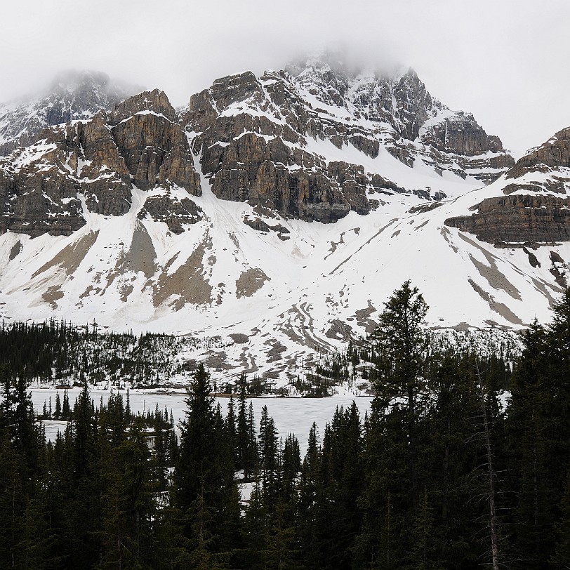 DSC_0421 Kanada; Alberta; Icefield Parkway; Nationalpark; Jasper; Banff