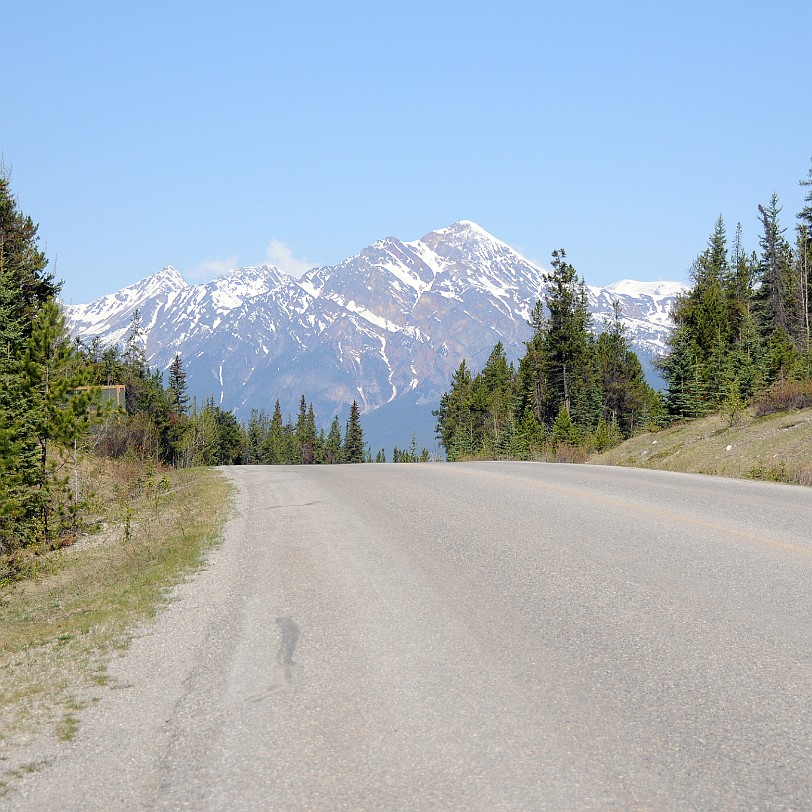 DSC_0546 Kanada; Alberta; Nationalpark; Jasper; Weg zum Medicine Lake