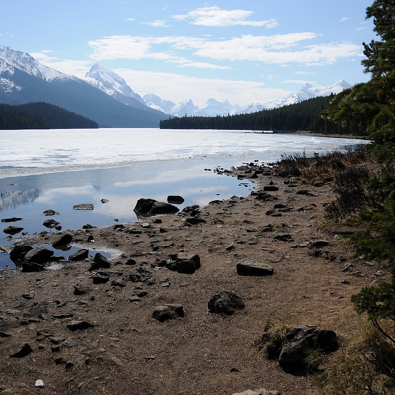 DSC_0592 Kanada; Alberta; Nationalpark; Jasper; Maligne Lake