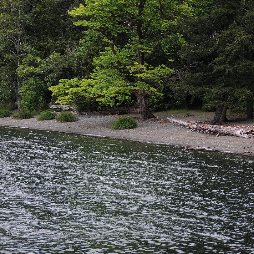 DSC_1267 Kanada; British Columbia; Vancouver Island; Qualicum Beach; Milner Gardens & Woodlands; Cameron Lake