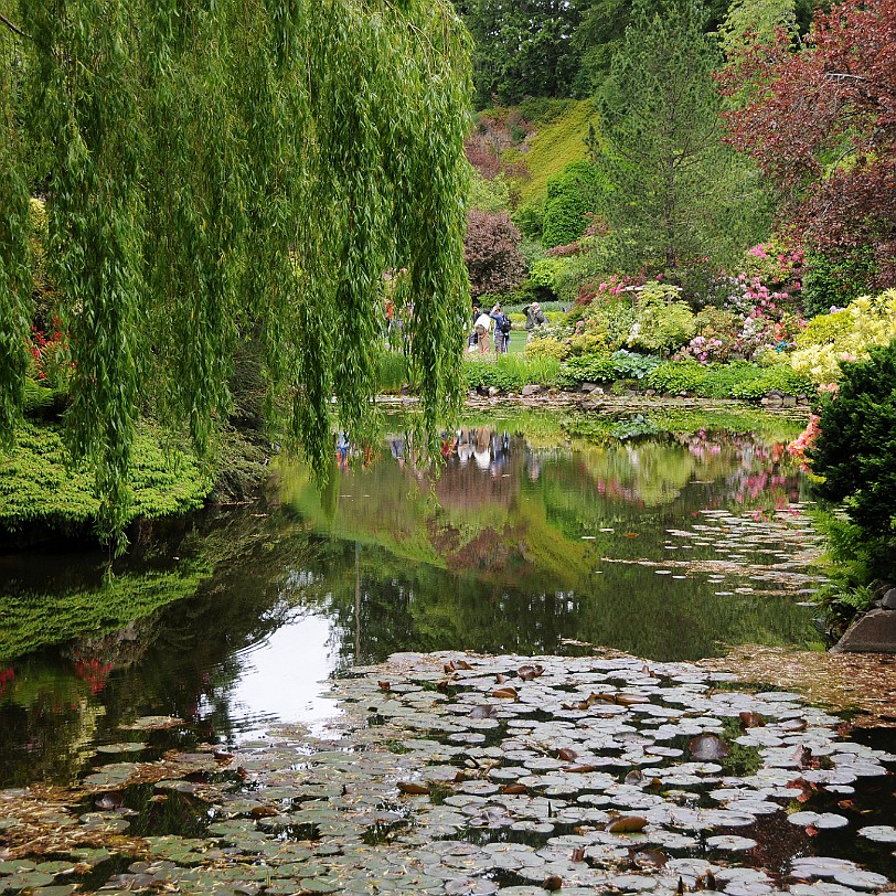 DSC_1425 Kanada; British Columbia; Vancouver Island; The Buchart Gardens