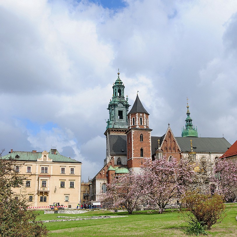 2011-04 Krakau [268] Krakau, Wawel