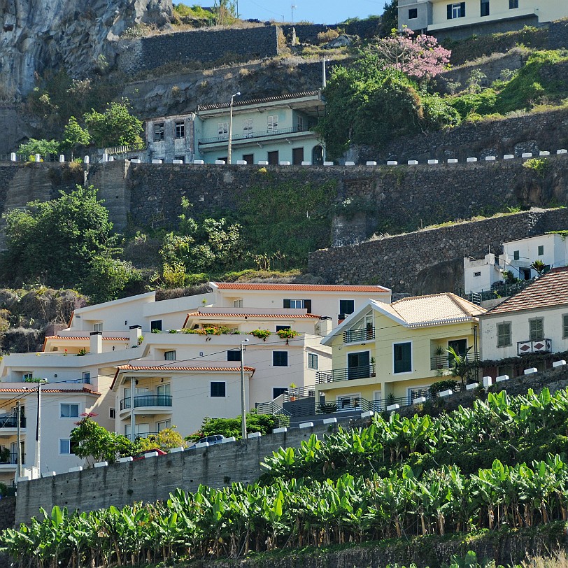 2012-09 Madeira [350] Ribeira Brava ist eine portugiesische Stadt auf der Insel Madeira, die etwa 15 km westlich von Funchal entfernt im Süden der Insel liegt.