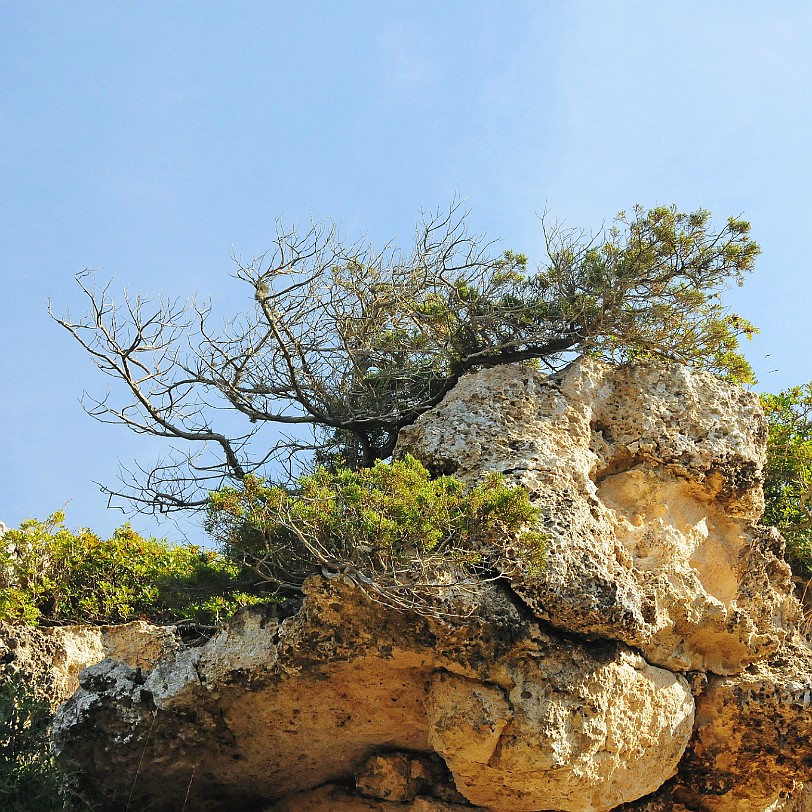 DSC_5512 Menorca, Balearen, Cala Morell