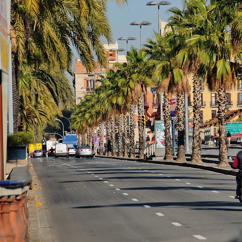 DSC_5805 Barcelona, am alten Hafen, dem Port Vell