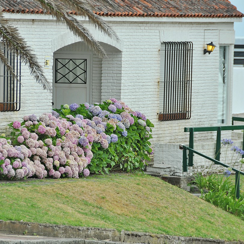 DSC_8863 Uruguay, Punta del Este