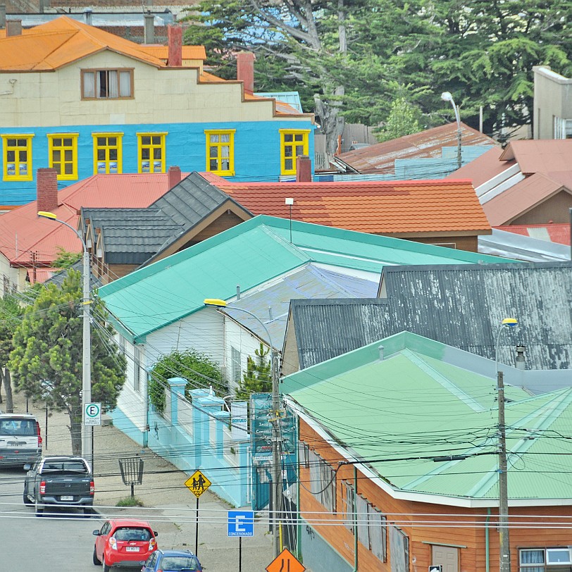 DSC_9806 Chile, Punta Arenas Die mittlere Jahrestemperatur schwankt um 6 Â°C, die NiederschlÃ¤ge verteilen sich auf das ganze Jahr, wobei im Monat etwa 25â45 mm...
