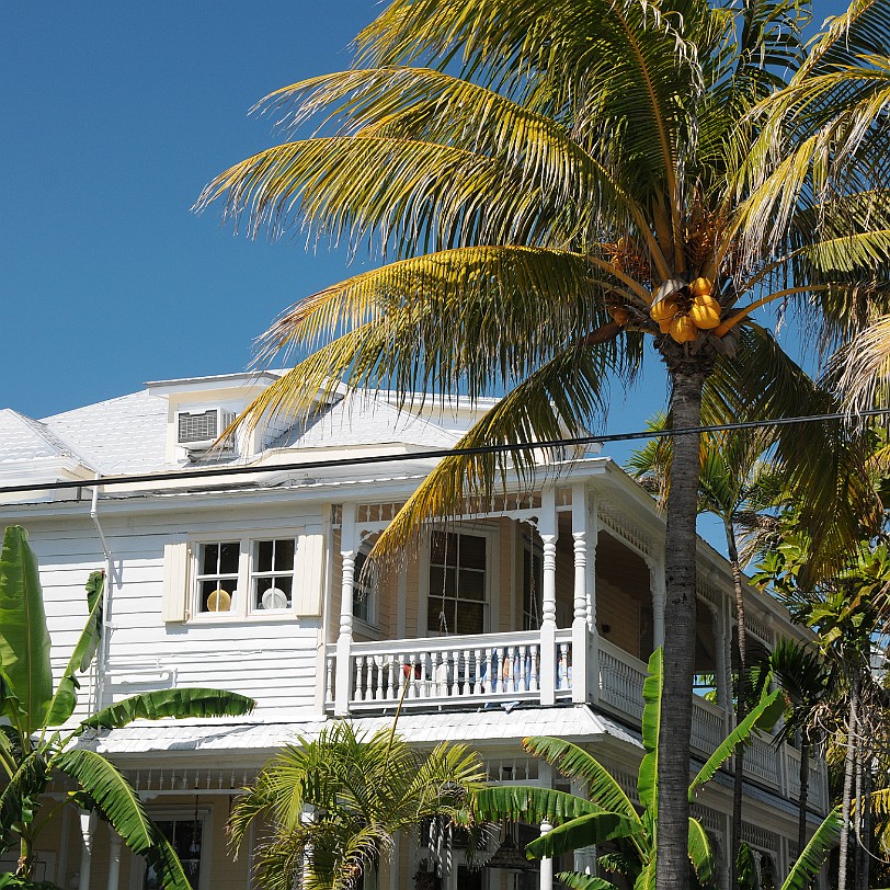 DSC_7896 Florida Keys, Key West, Florida, USA
