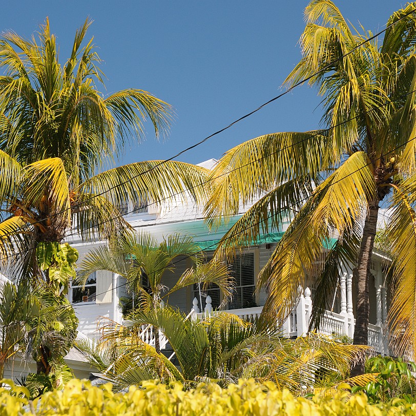 DSC_7906 Florida Keys, Key West, Florida, USA