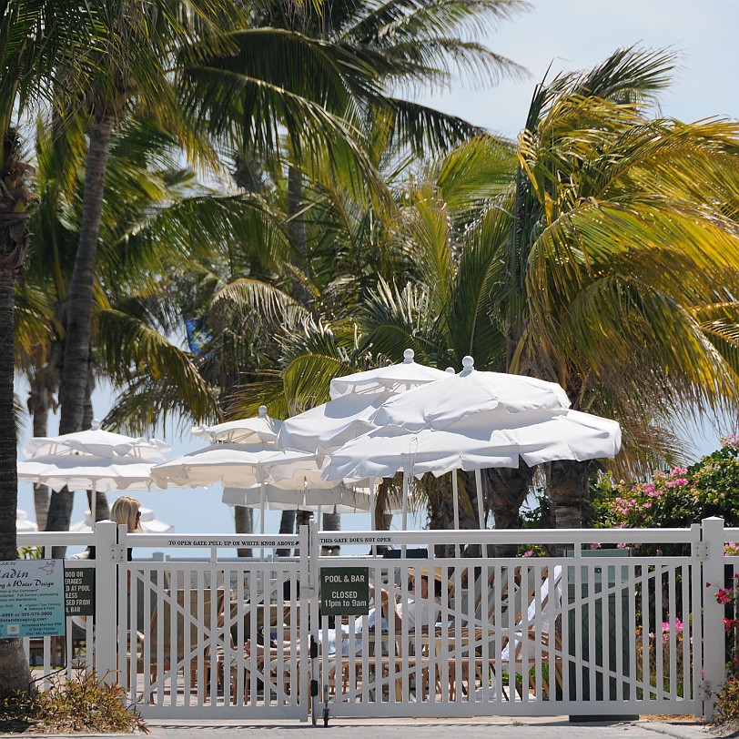 DSC_7917 Florida Keys, Key West, Florida, USA